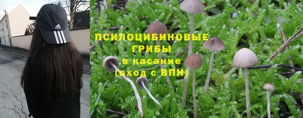 PSILOCYBIN Арсеньев